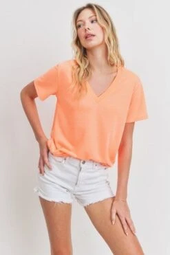 Short Sleeves V Neck Knit Top *Final Sale*